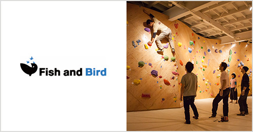 Climbing Gym Fish and Bird